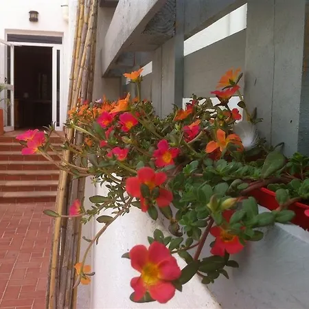 Apartman Nadine *